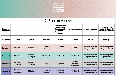 Pregnancy Workouts Pre Post Natal Barre Blend Exercises Barre